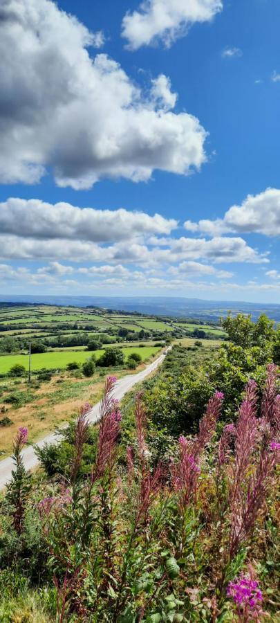 Summit Camping Kit Hill Cornwall Panoramic Views Grass Pitch From 15Pn Or Bella Bell Tent 75Pn Callington Exterior foto
