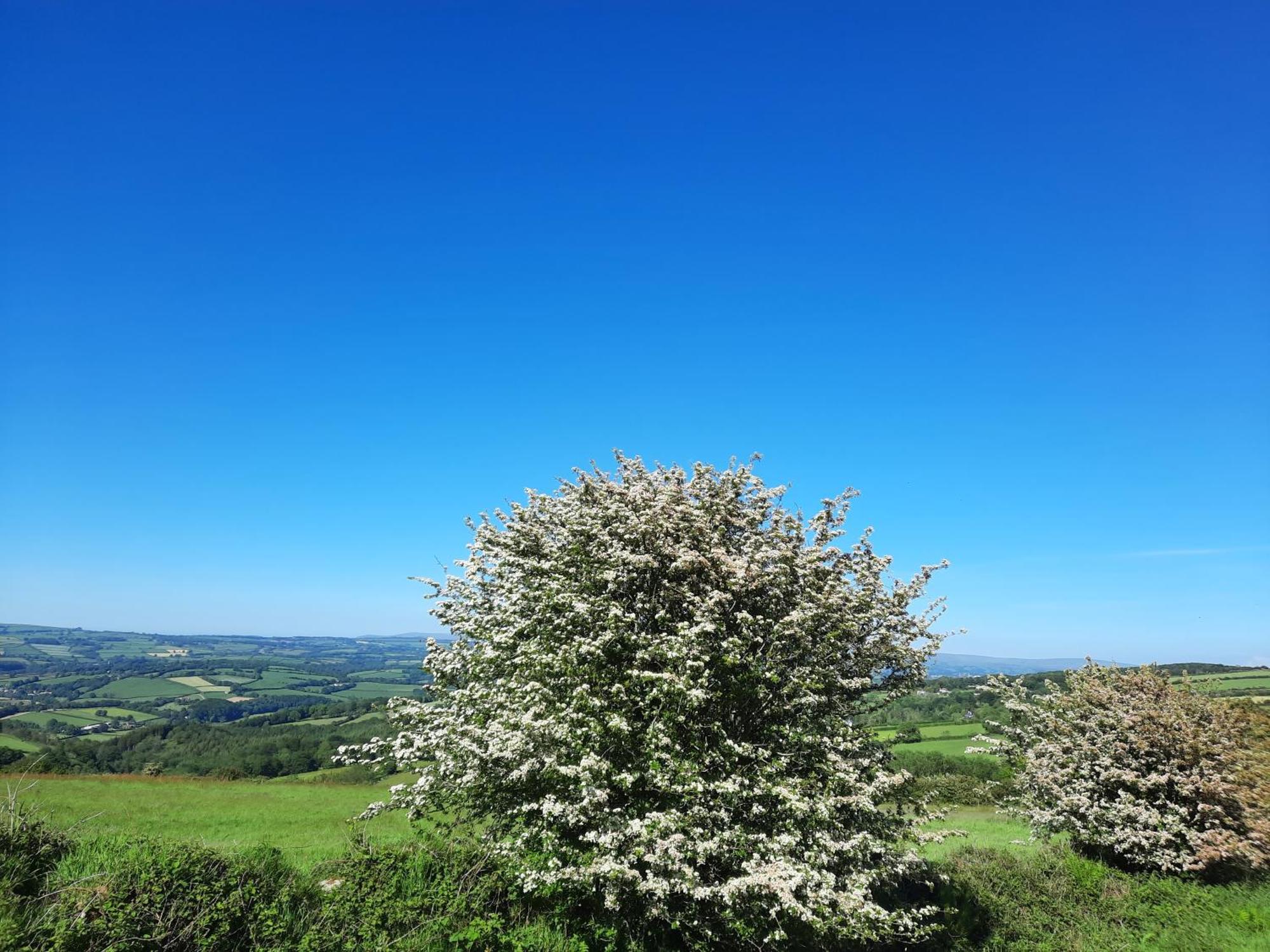 Summit Camping Kit Hill Cornwall Panoramic Views Grass Pitch From 15Pn Or Bella Bell Tent 75Pn Callington Quarto foto